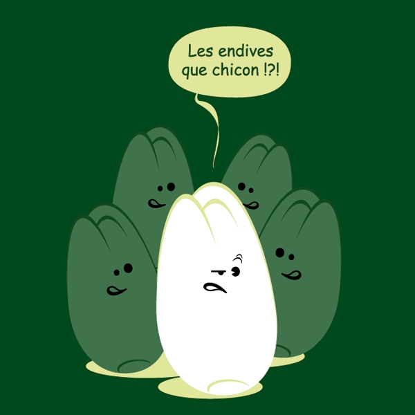 Endives et chicons....